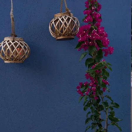 Roxani's Appartamento